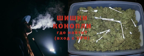 сатива Белоозёрский