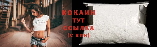 сатива Белоозёрский