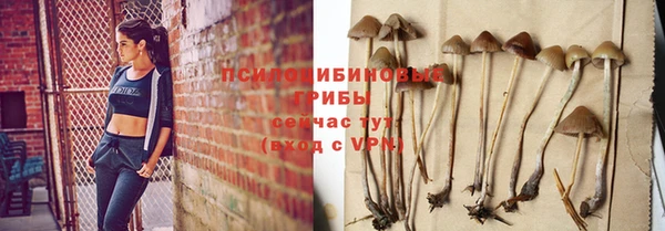 а пвп мука Белокуриха