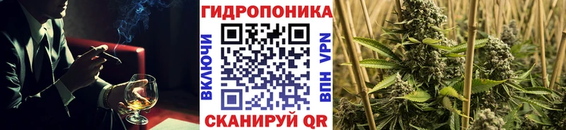 Канабис тримм  даркнет сайт  Пестово 